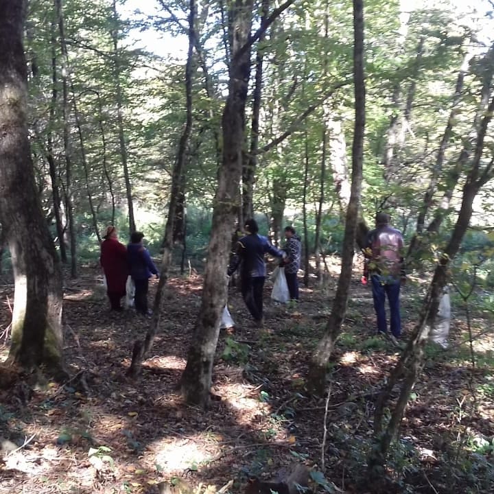 IMG 20181011 210405 937 1